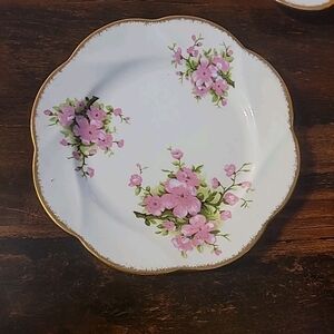 Vintage Salisbury Fine Bone China Pink Dogwood 8" Plate England